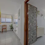Dream Seaview Loft Kos Town